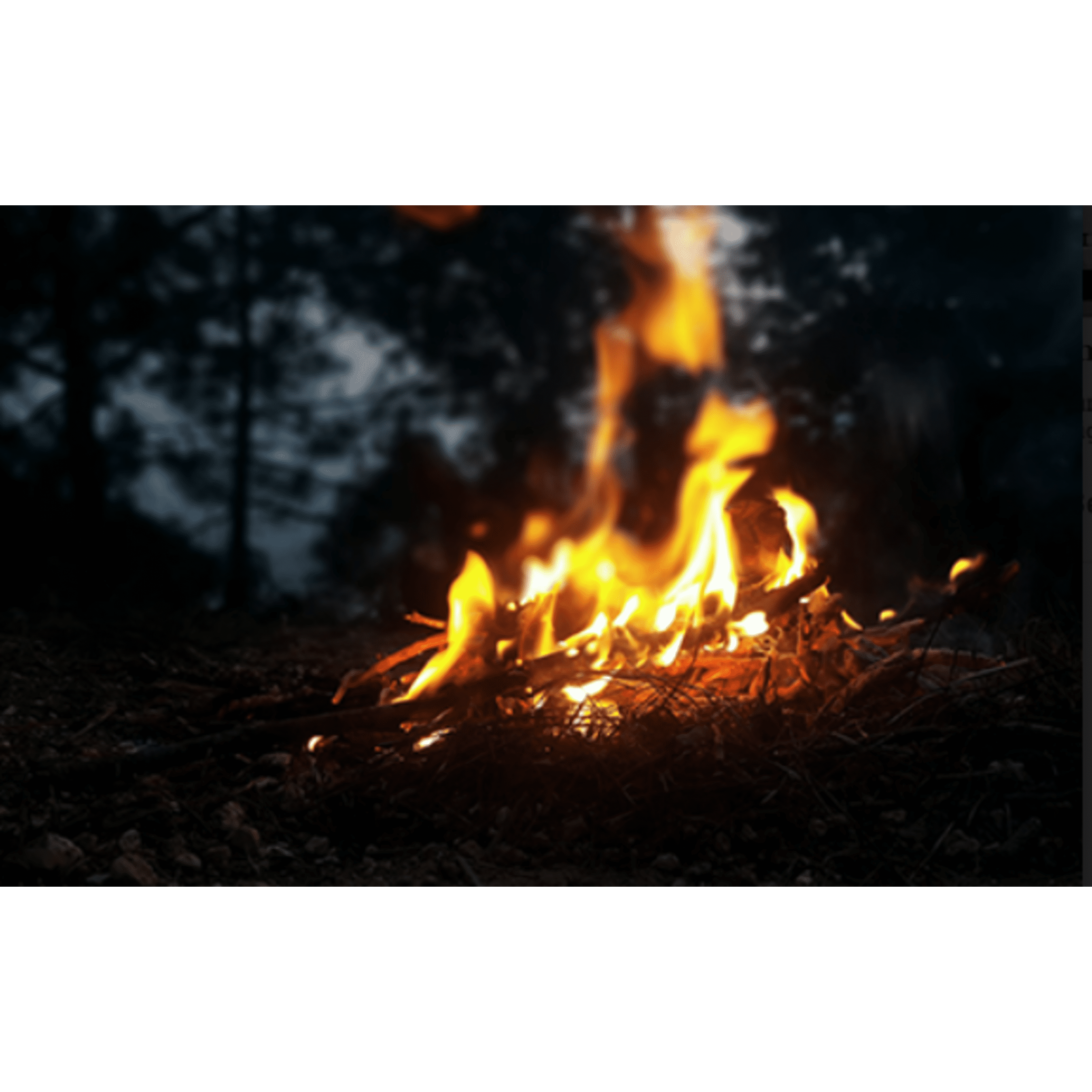 Diamond Strike-A-Fire Fire Starters, 48 Ct, Strikes like a Match - Diamond - Nimbus Distributors - wholesale and distributors in United States Diamond Strike-A-Fire Fire Starters, 48 Ct, Strikes like a Match - Diamond - Nimbus Distributors - wholesale and distributors in United States